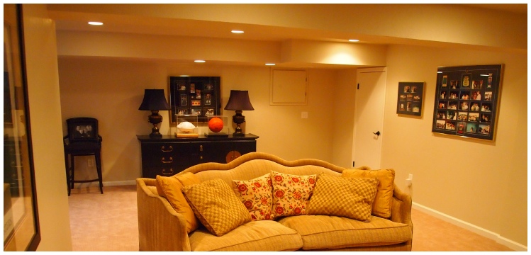 Living Area Remodels